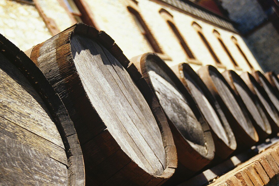 Wine barrels at Yalumba Winery, Barossa Valley, Australia