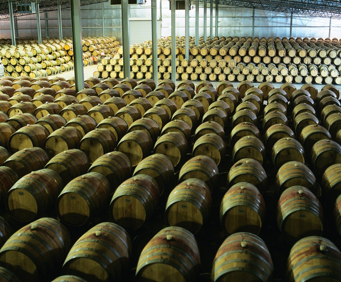 Grossräumige Lagerhalle für Weinfässer, Rosemount, Australien