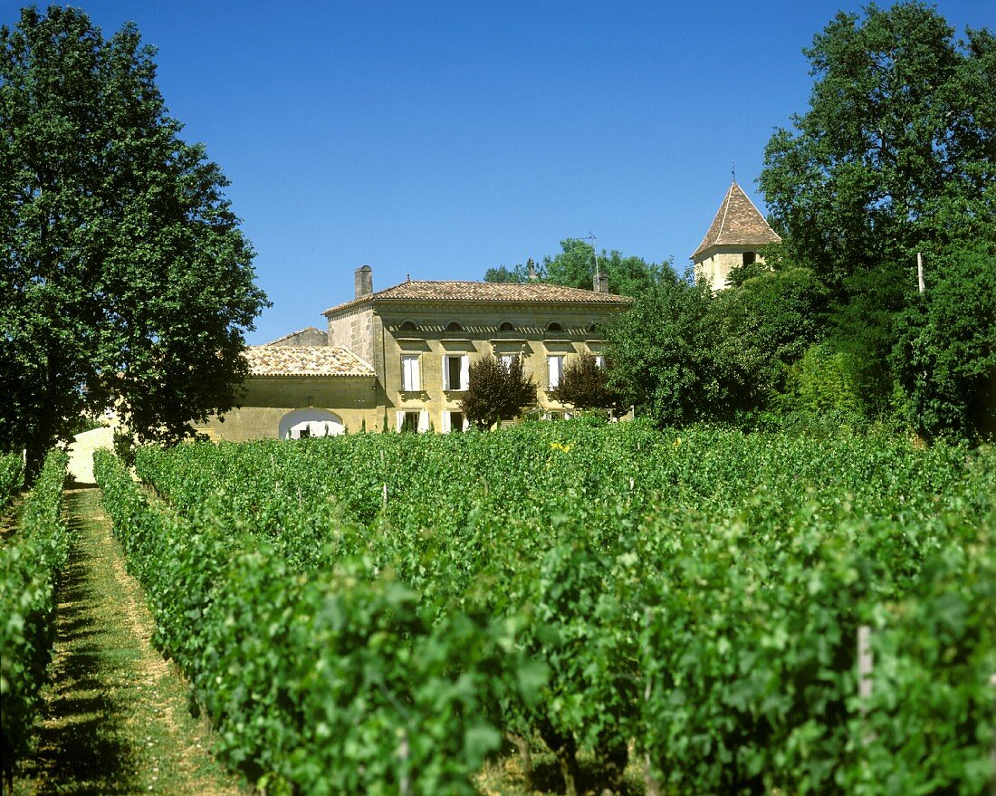 The St. Colombe wine estate, Cotes de Bourg, Bordeaux, France