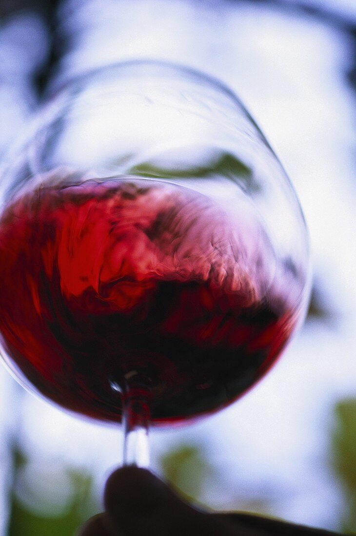 Hand schwenkt Glas gefüllt mit Pinot Noir
