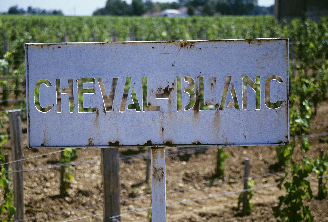 Cheval-Blanc-Schild im Weinberg, St. Emilion, Frankreich