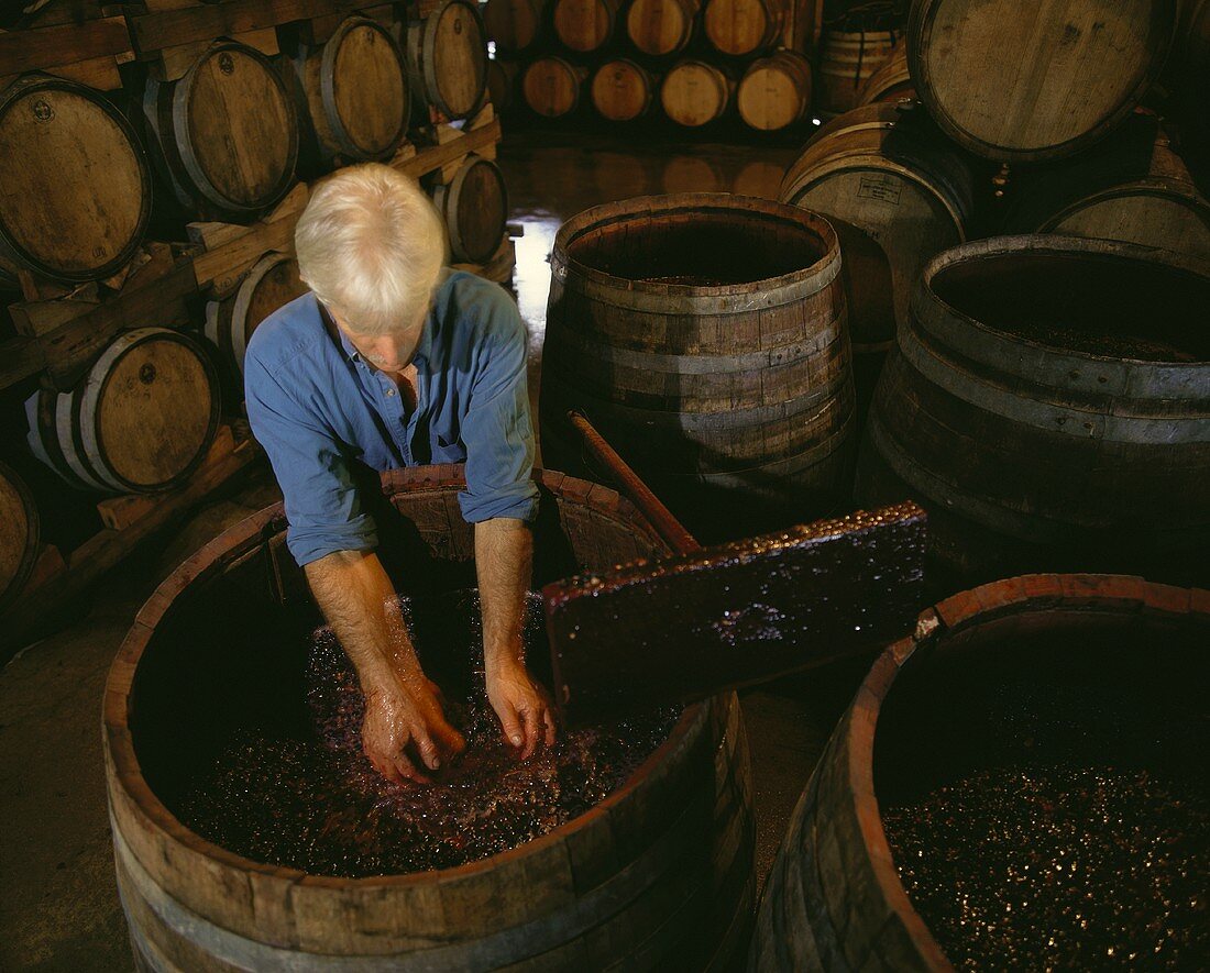 Wine-maker John Reynolds stirring the marc, Australia