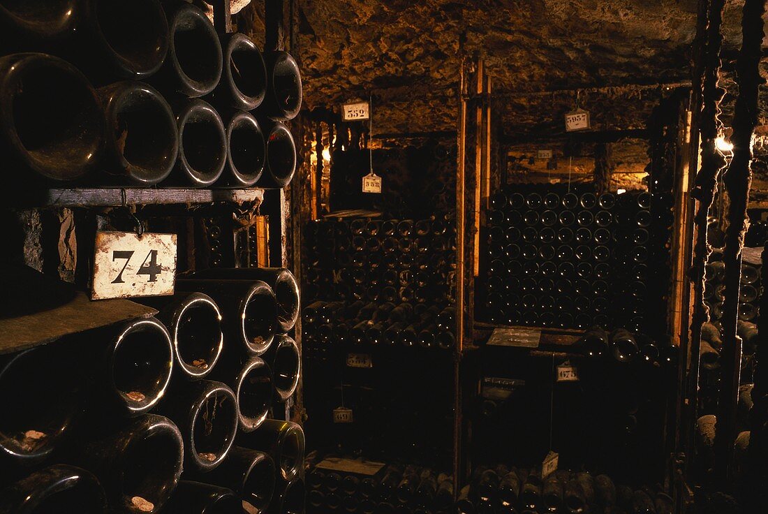 Wine cellar on Bouchard Pere et Fils Estate, Beaune, Burgundy