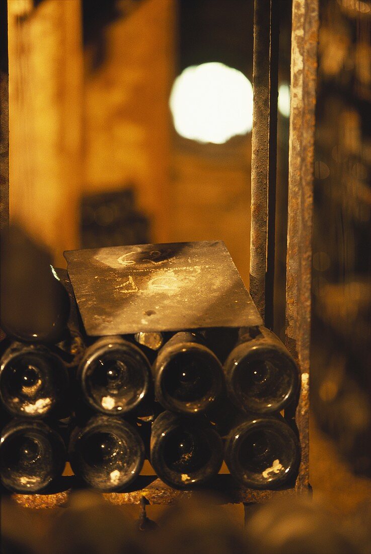 Wein lagert im Weinkeller von Bouchard Pere et Fils, Beaune