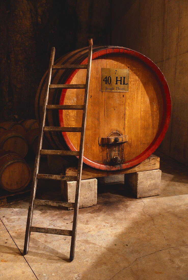 Ein 40 Hektoliter Weinfass im Weinkeller von Joseph Thoret