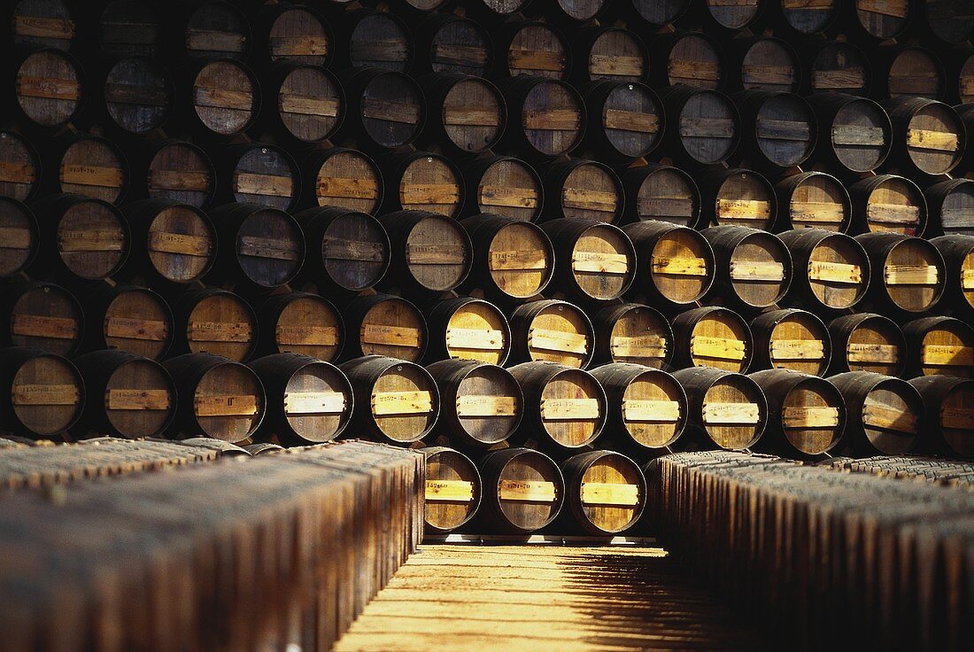 Moscato-Fässer lagern im Weinkeller von J.P Vinhos, Portugal