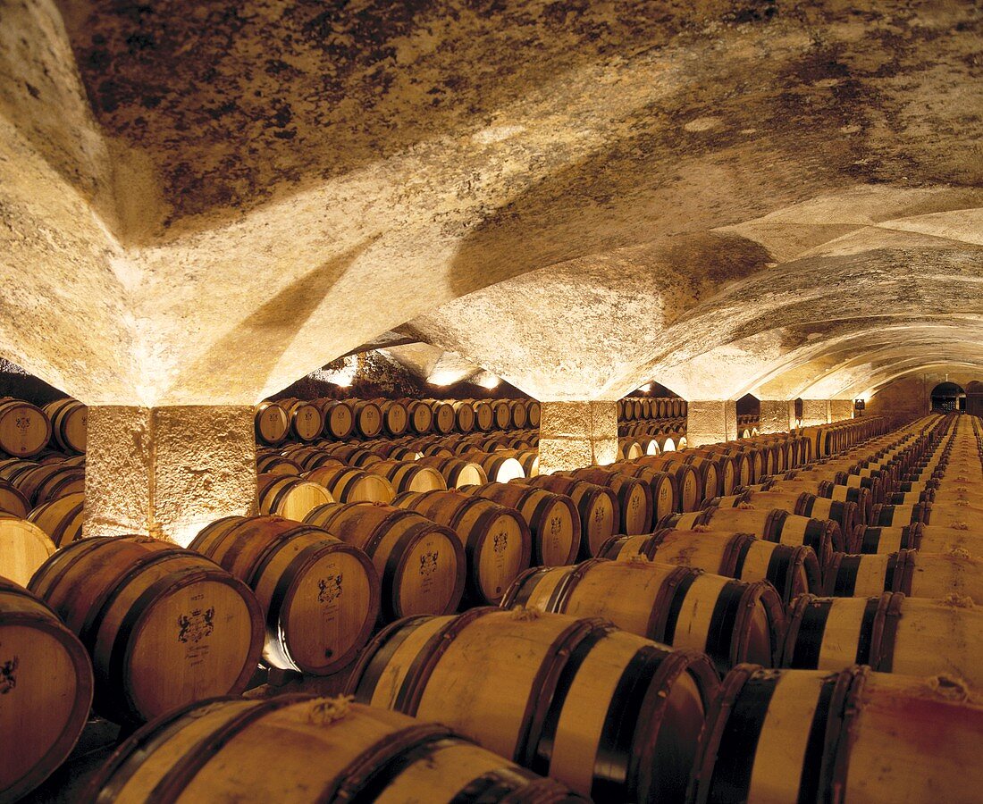 Weinfässer reifen im Weinkeller, Château Meursault, Côte d'Or