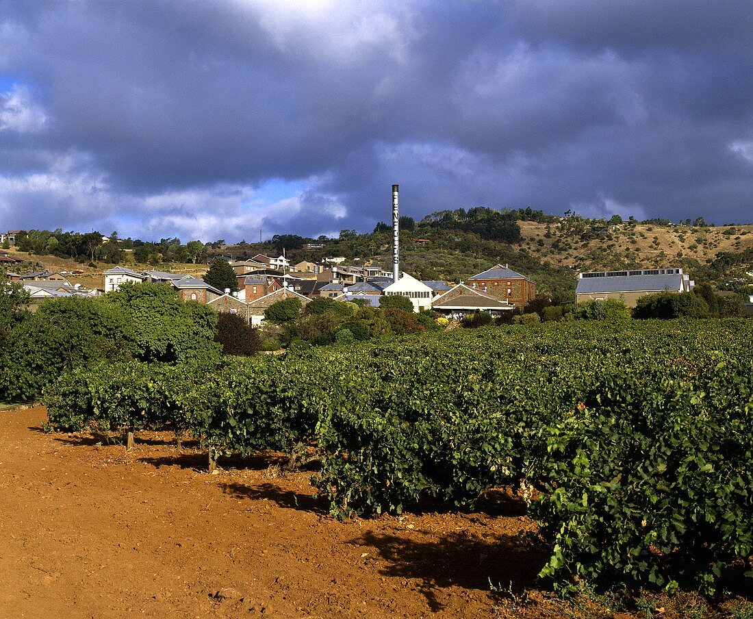 Penfold's Magill Estate, Adelaide, Südaustralien