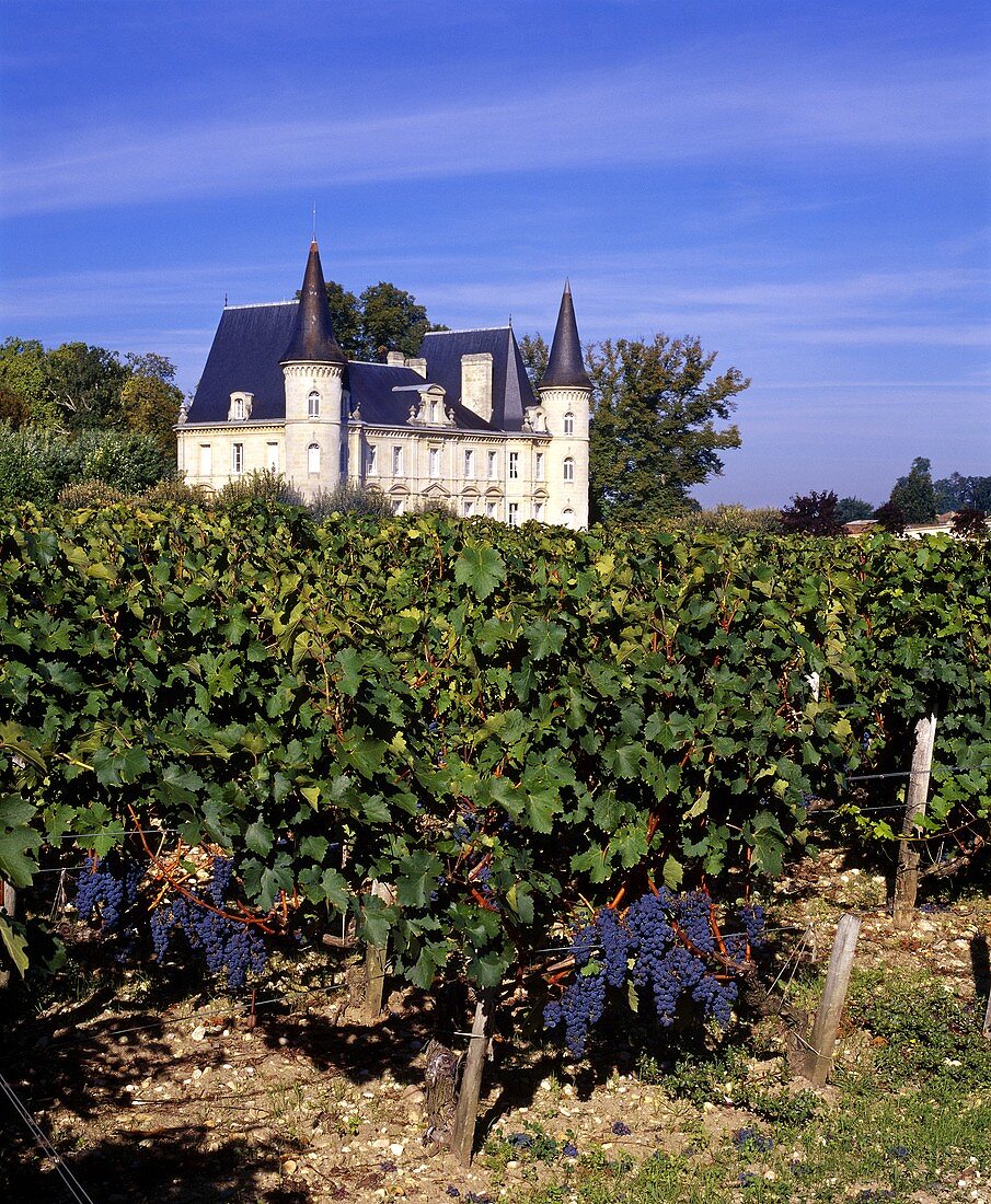 Château Pichon-Longueville-Baron mit Weinberg ,Pauillac,Medoc