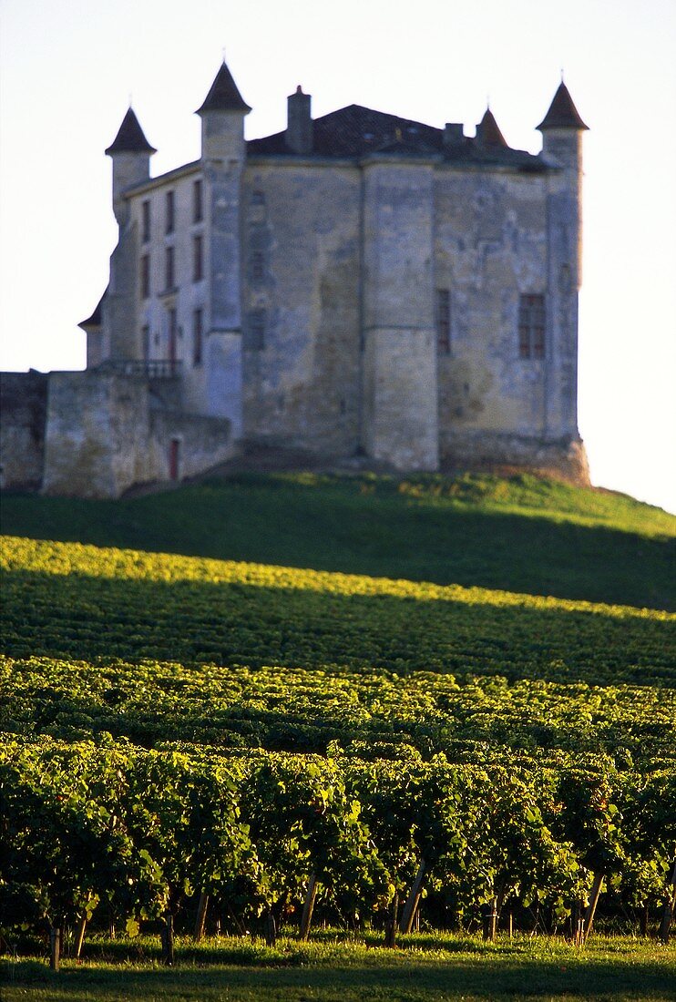 Château Féodal against vineyards, Côtes de Castillon, Bordeaux