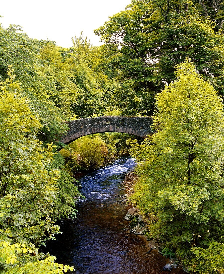 Fiddich-Riverat bei Dufftown, Heimat von sieben Whisky Destillerien