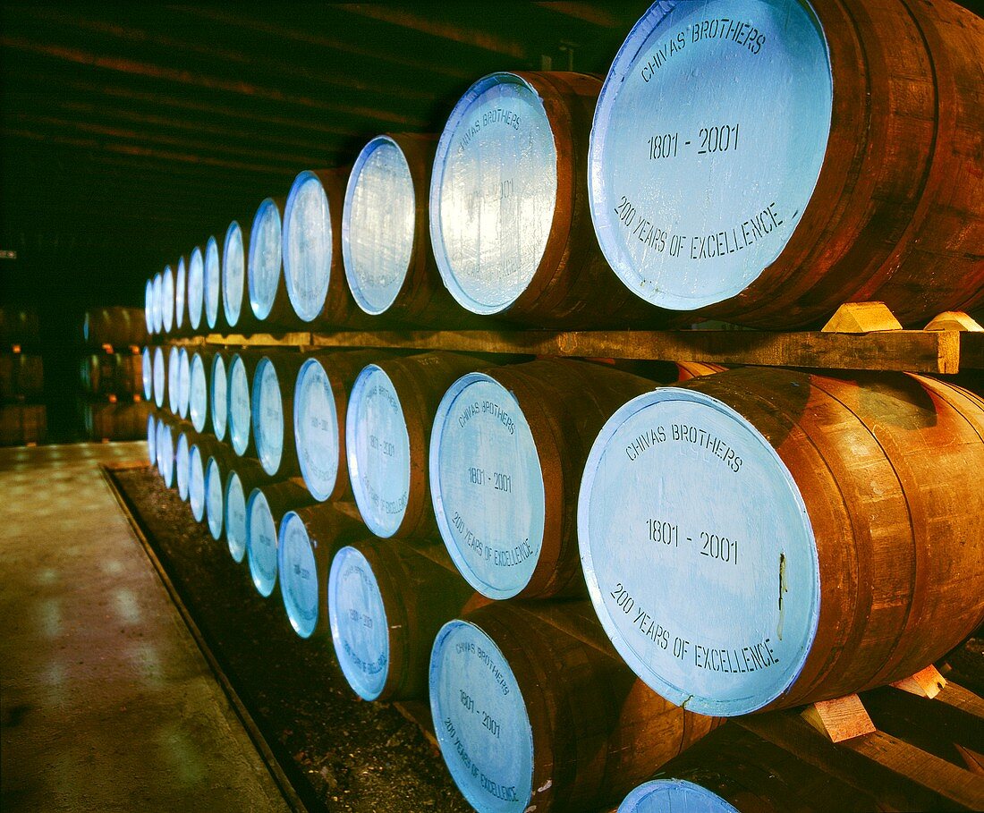 Fässer der Strathisla Whisky Distillery, Banffshire, Schottland
