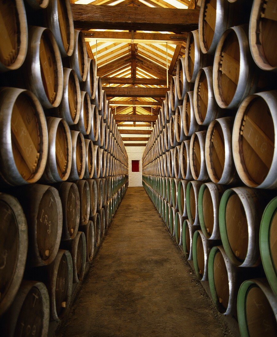 Weinkeller der Bodega CVNE, Haro, Rioja, Spanien