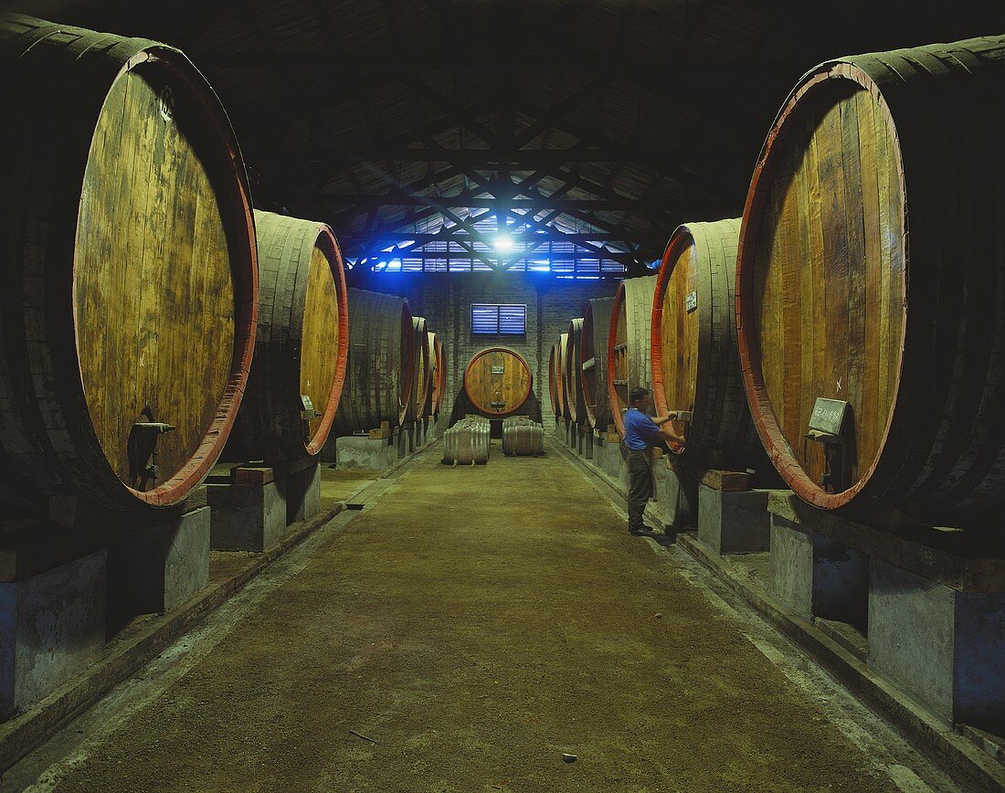 Viña Valdevieso, one of the oldest wine estates in Chile