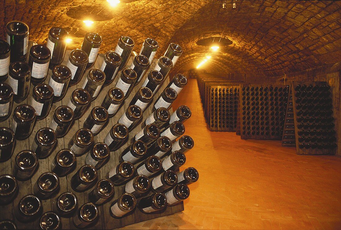 Pupitres in Ca' del Bosco wine cellar, Lombardy, Italy
