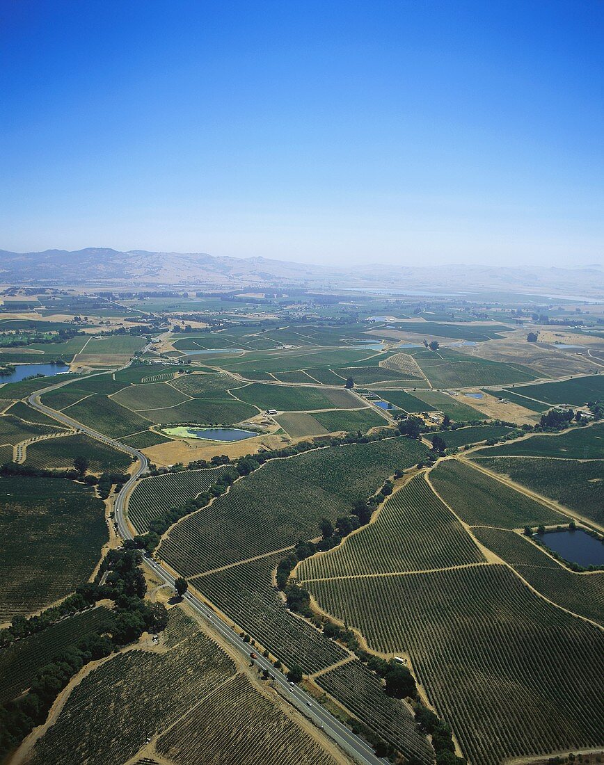 Weinanbaugebiet Carneros aus der Luft, Kalifornien, USA