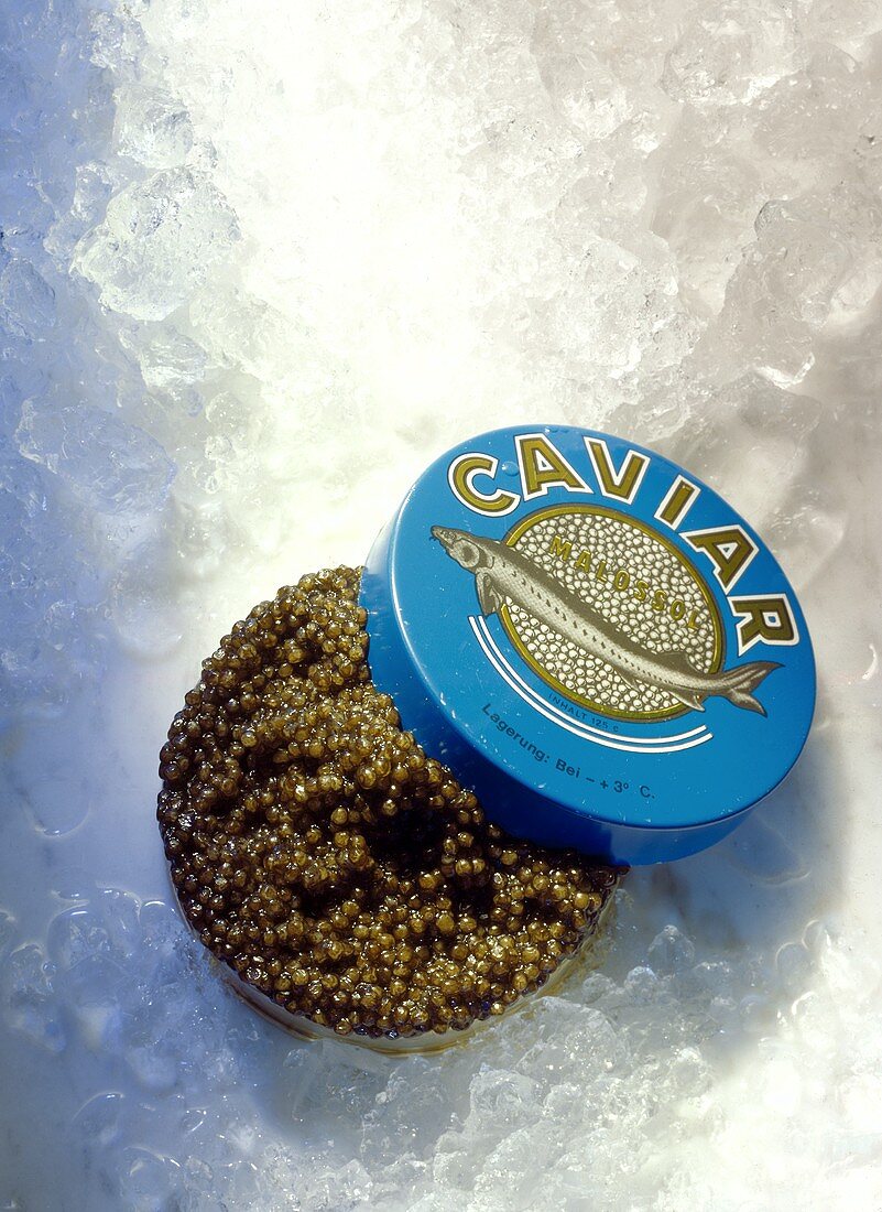 Geöffnete Kaviardose auf Eis