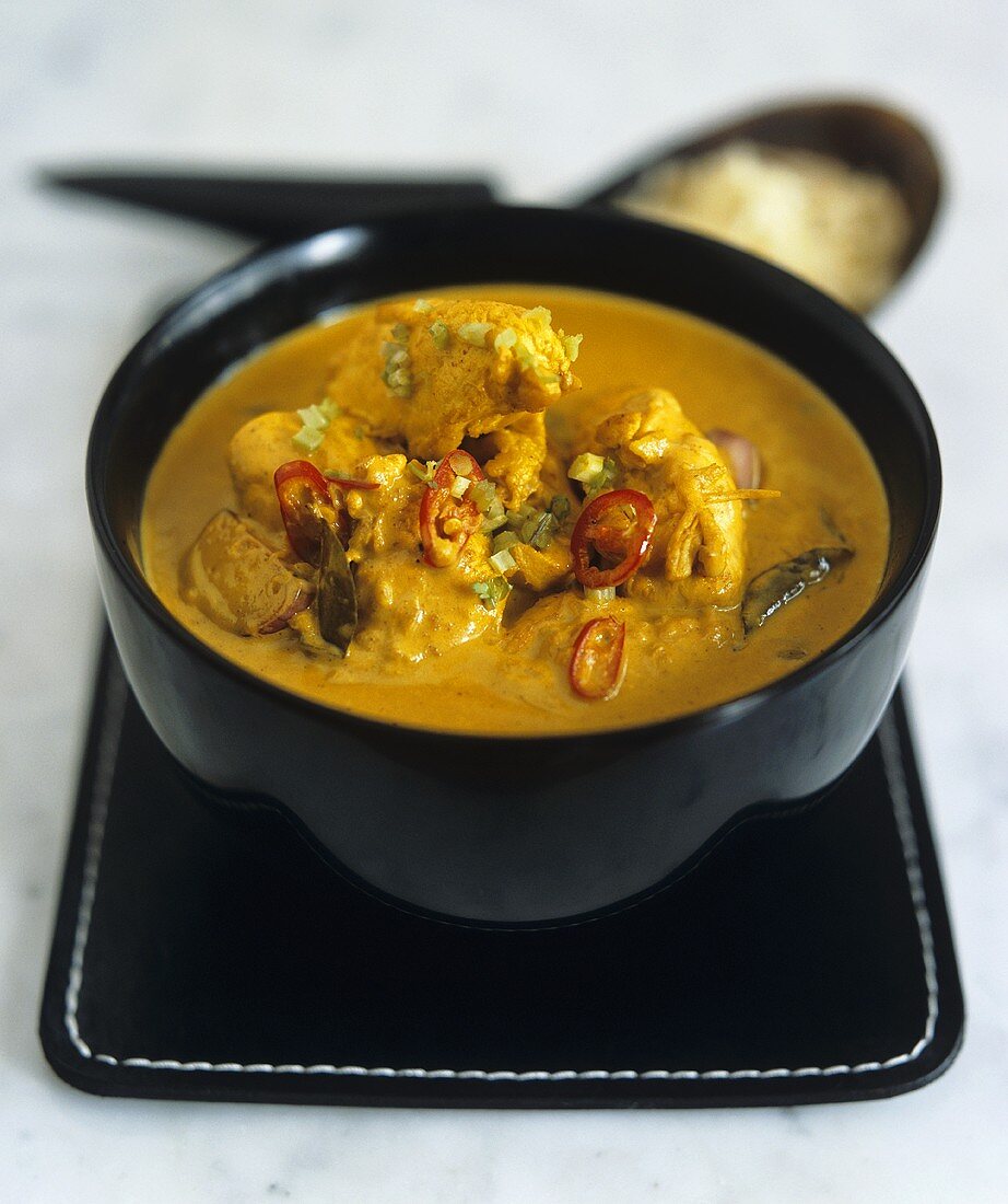 Chicken Korma (chicken in Indian curry sauce) 1