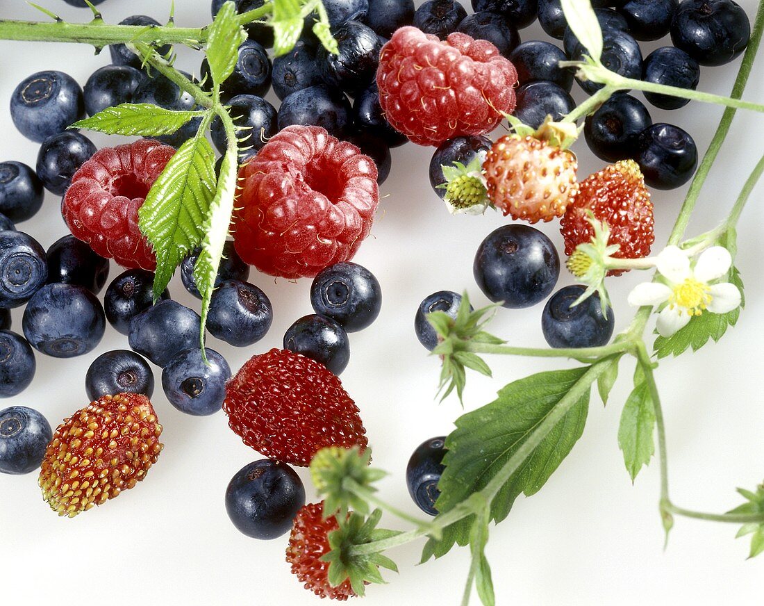 Forest fruits: wild strawberries, raspberries & blueberries