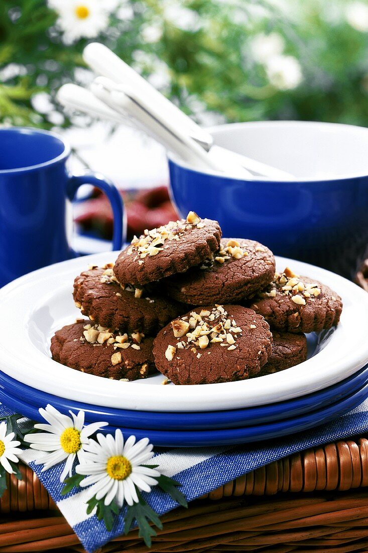 Schokoladenkekse und Geschirr fürs Picknick oder Sommerfest