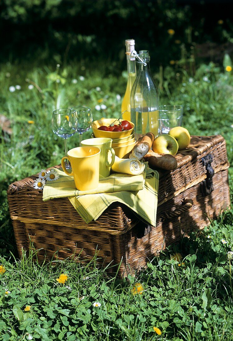 Geschirr, Brot & Obst auf einem Picknickkorb auf der Wiese