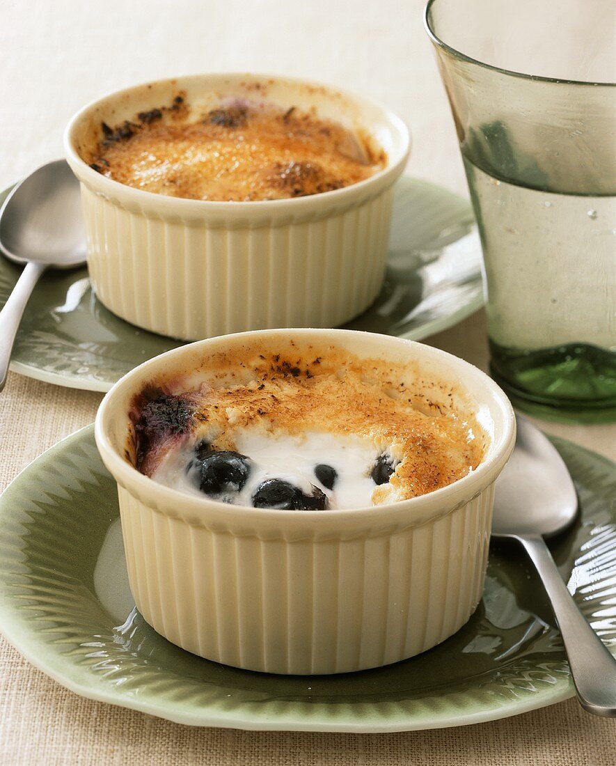 Quick blueberry and yoghurt crème brulee 