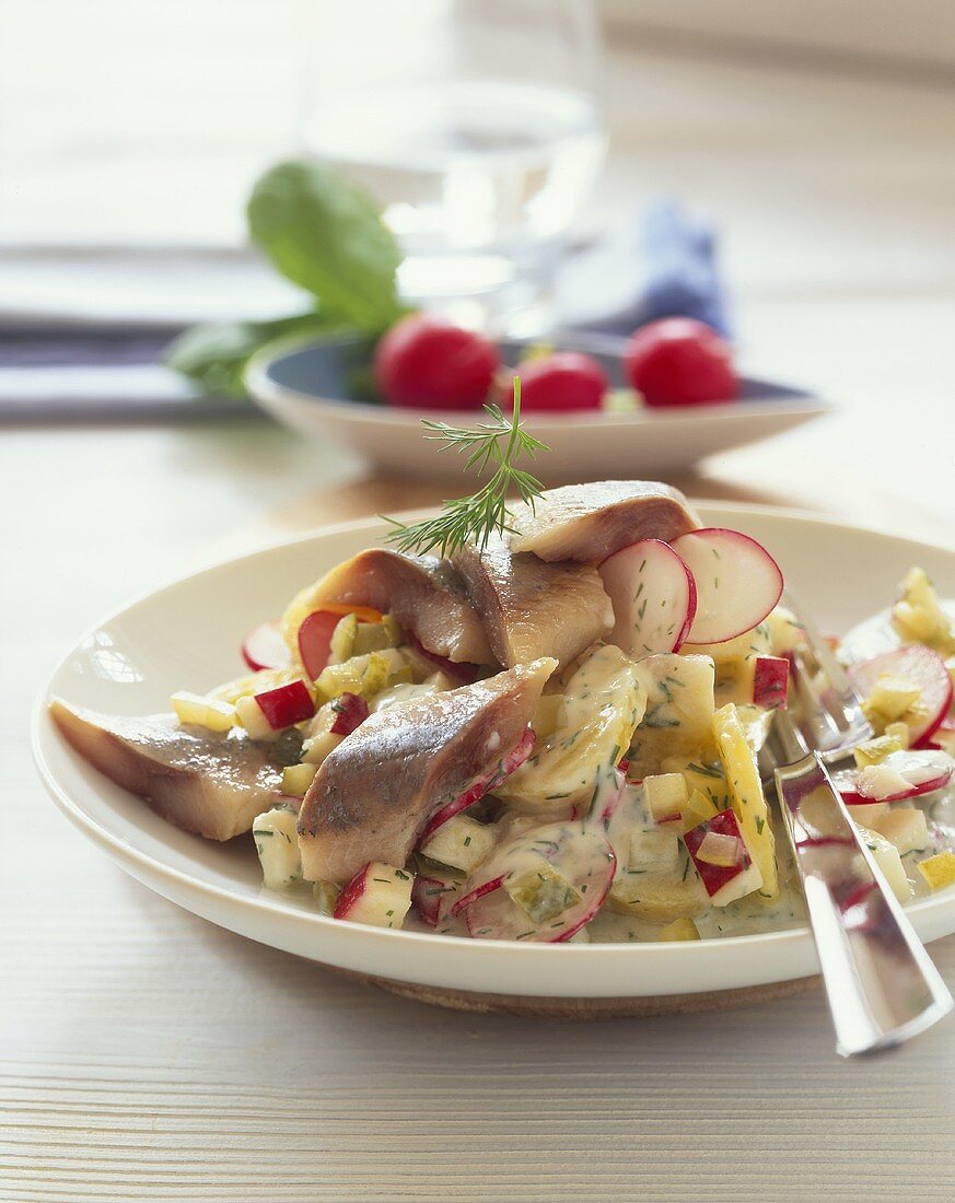 Strips of matje herring fillets on apple and potato salad