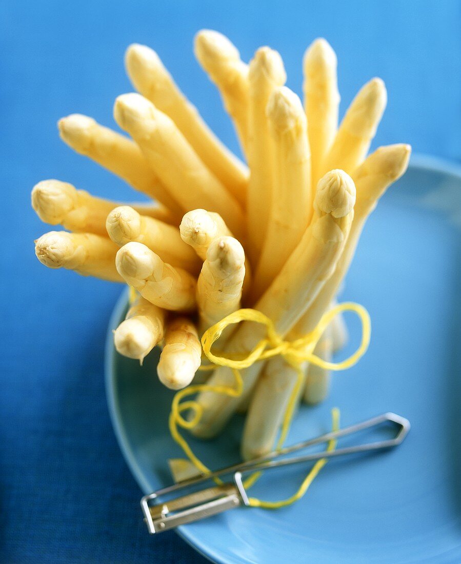 Bundle of white asparagus spears on blue background