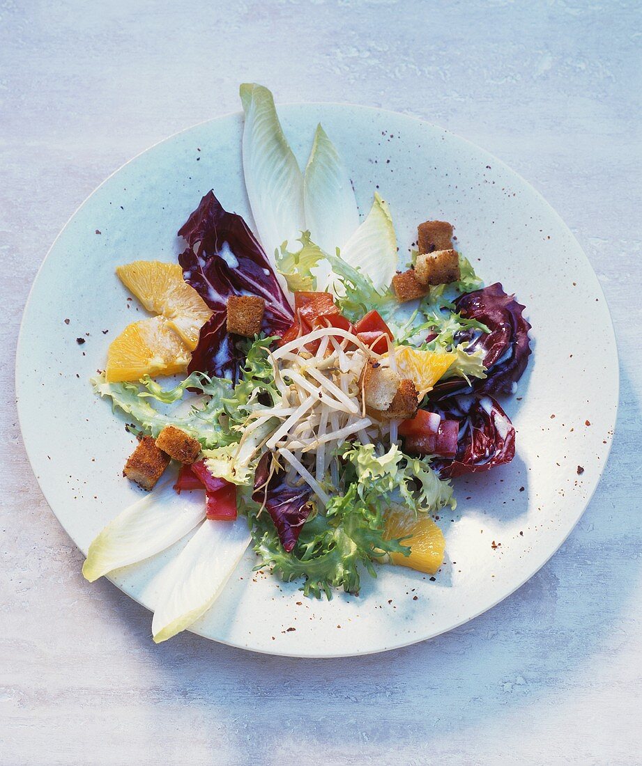 Gemischter Salat mit Sprossen und Kokosdressing