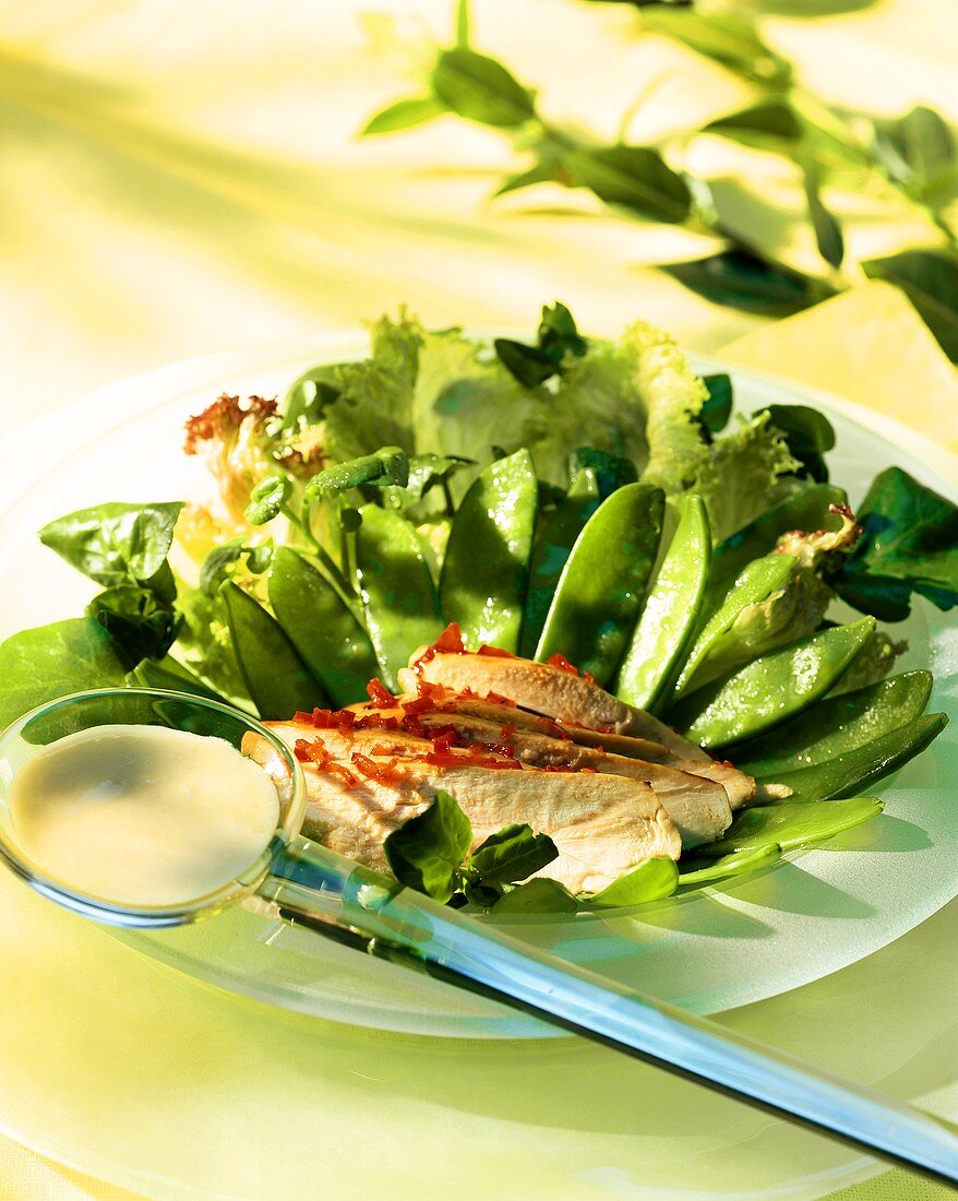 Grüner Salat mit Zuckerschoten und Hähnchenbrust