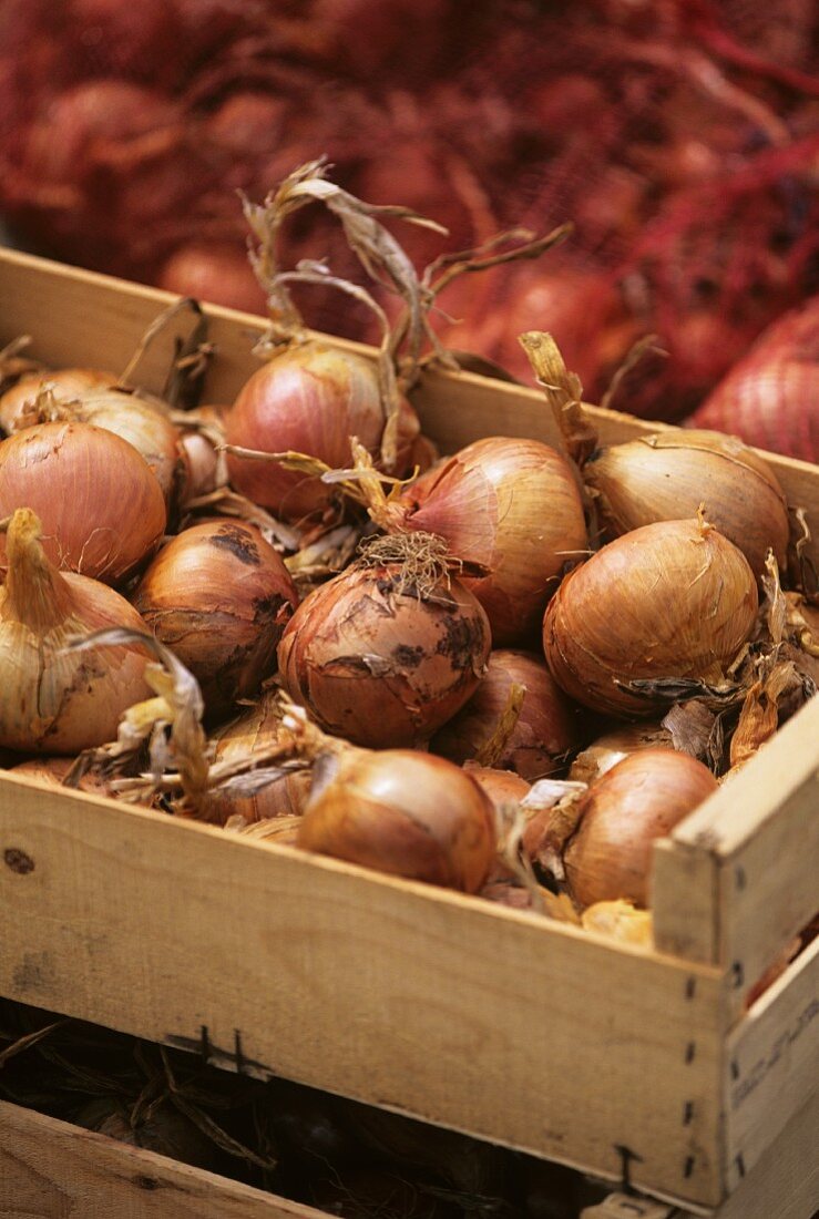 Onions in a crate