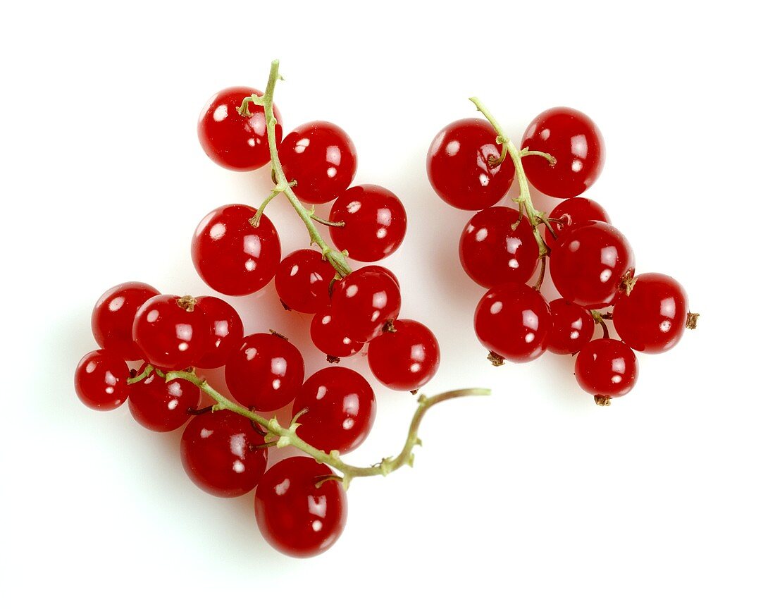 Three trusses of redcurrants