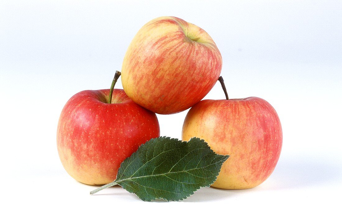 Drei Äpfel und Blatt der Sorte Ambassy