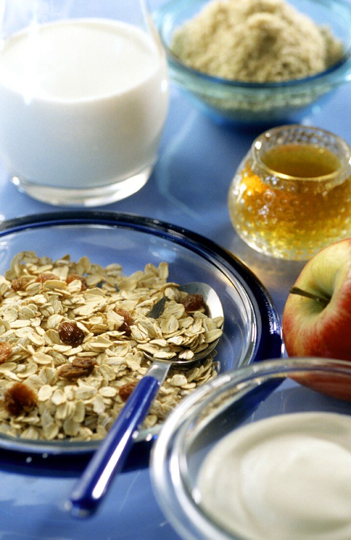 Gesundes Frühstück mit Bircher Müsli