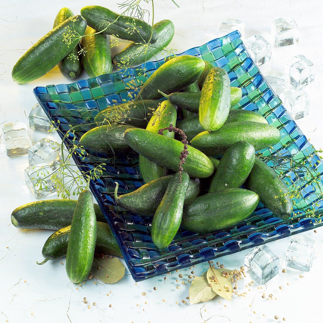 Fresh cucumbers (gherkins) in a bowl