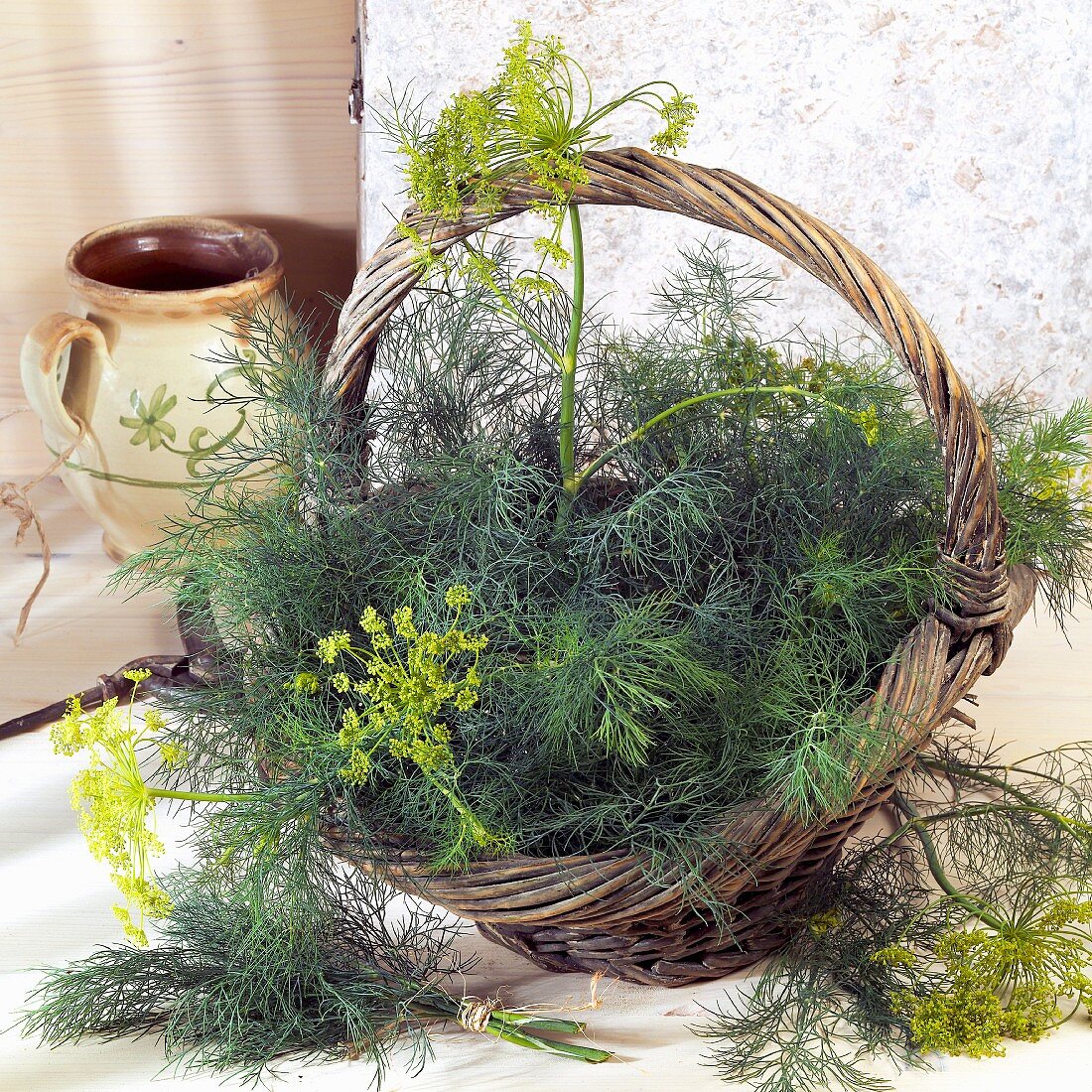 Dill in a basket