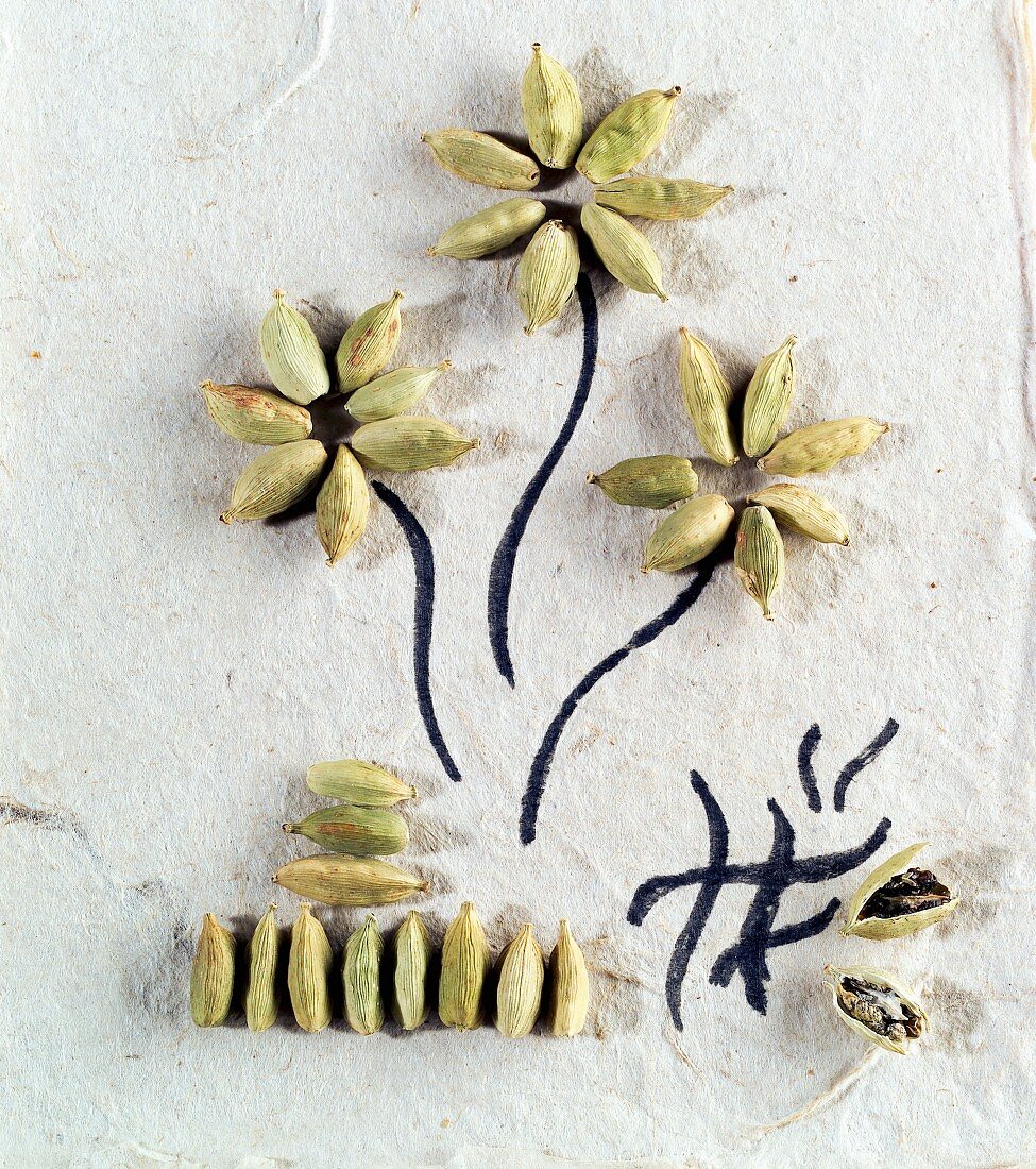 Cardamom capsules on paper, some arranged in flower shape