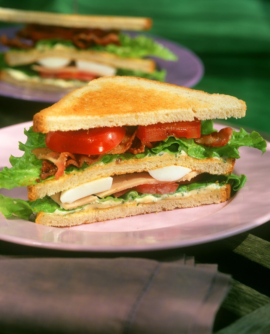 Club sandwich on plate