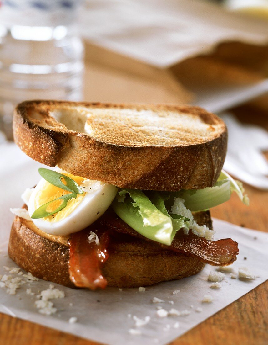 Toasted bacon, lettuce and egg sandwich