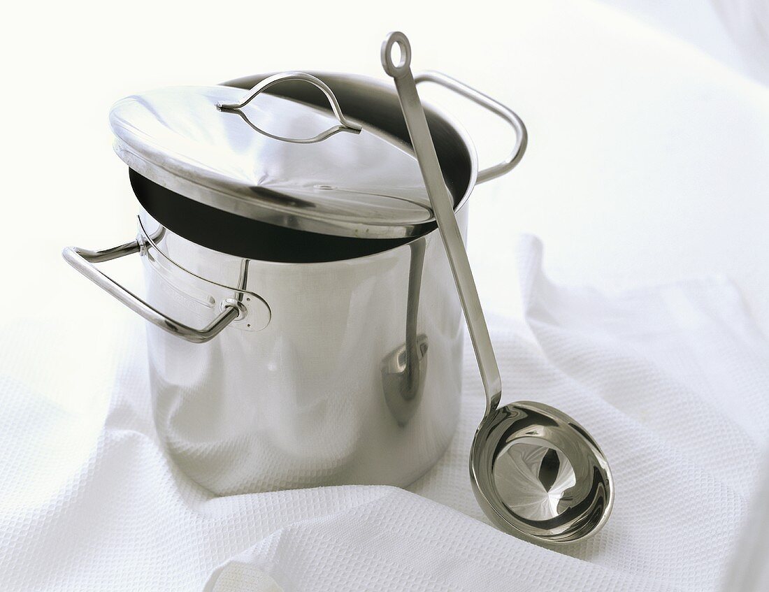 Soup pot with ladle