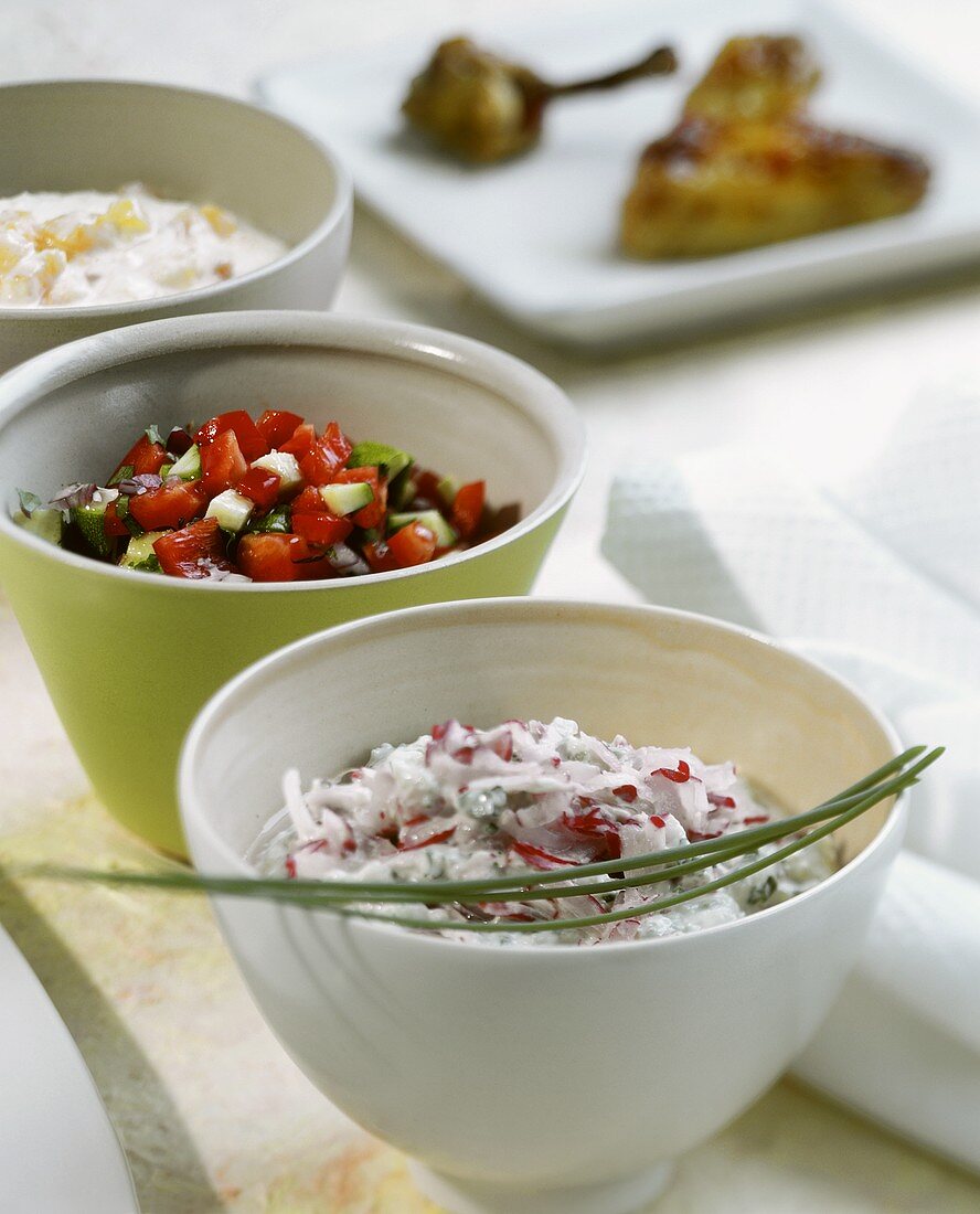 Radish & herb quark, vegetable salsa, yoghurt & apricot dip