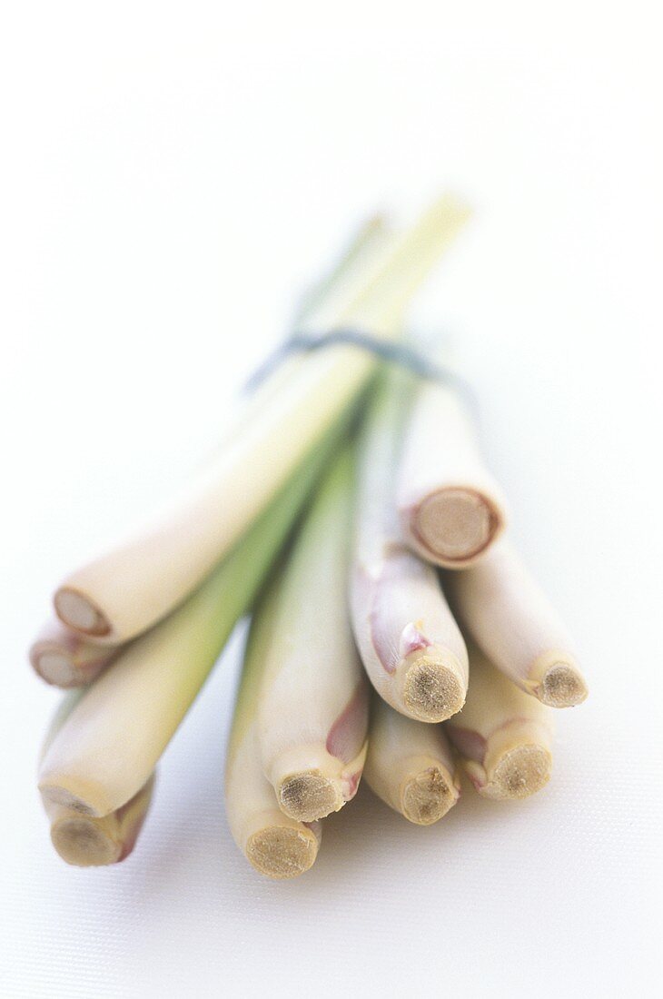 Bundle of lemon grass stalks on white background