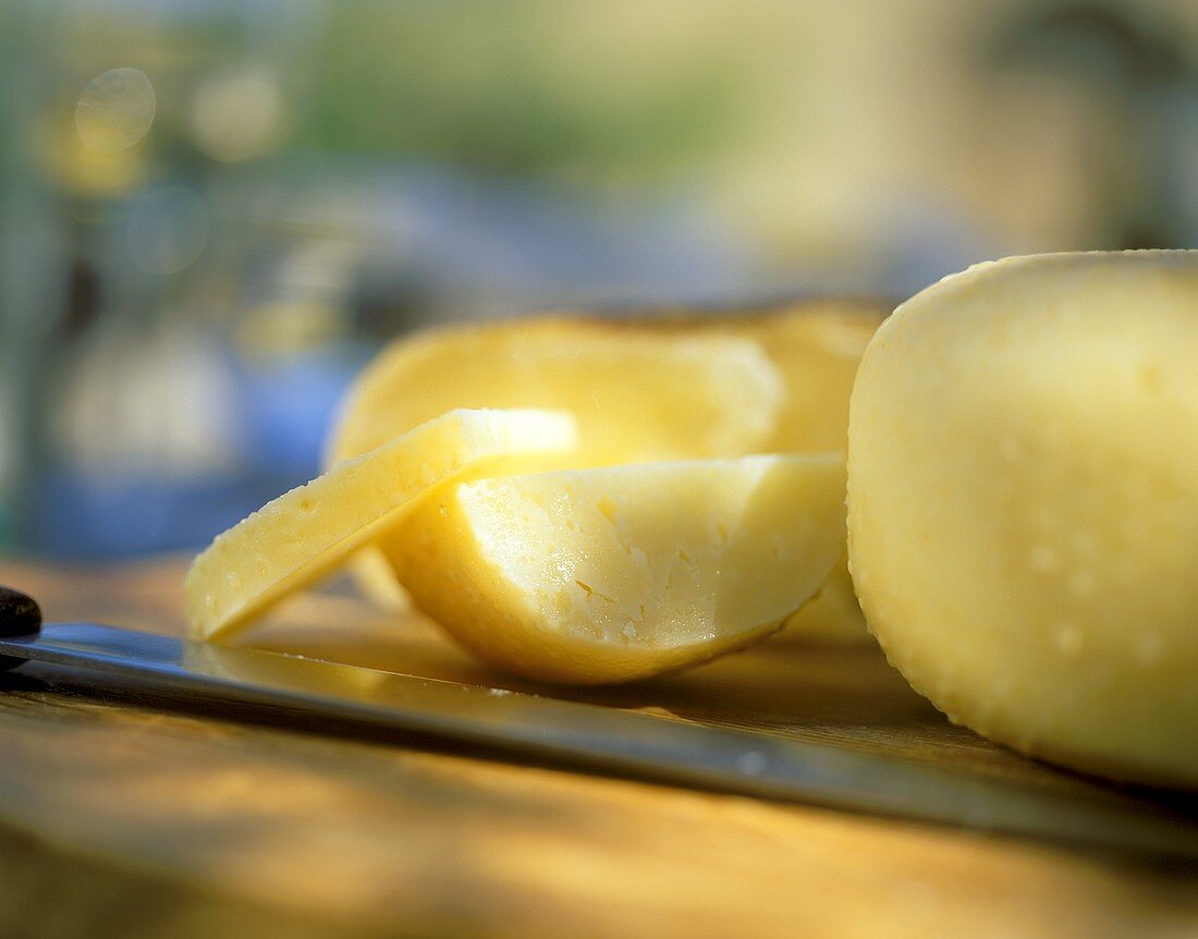 Young pecorino, Tuscany, Italy