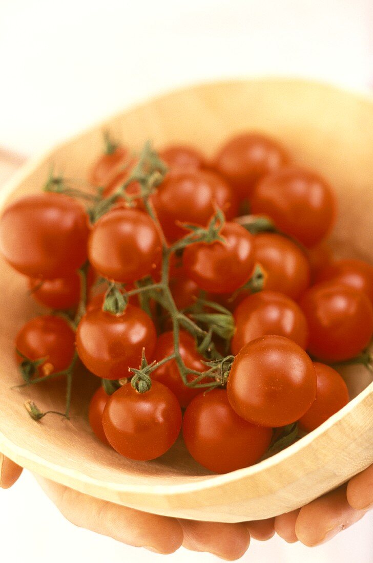 Hands holding bowl of cherry tomatoes