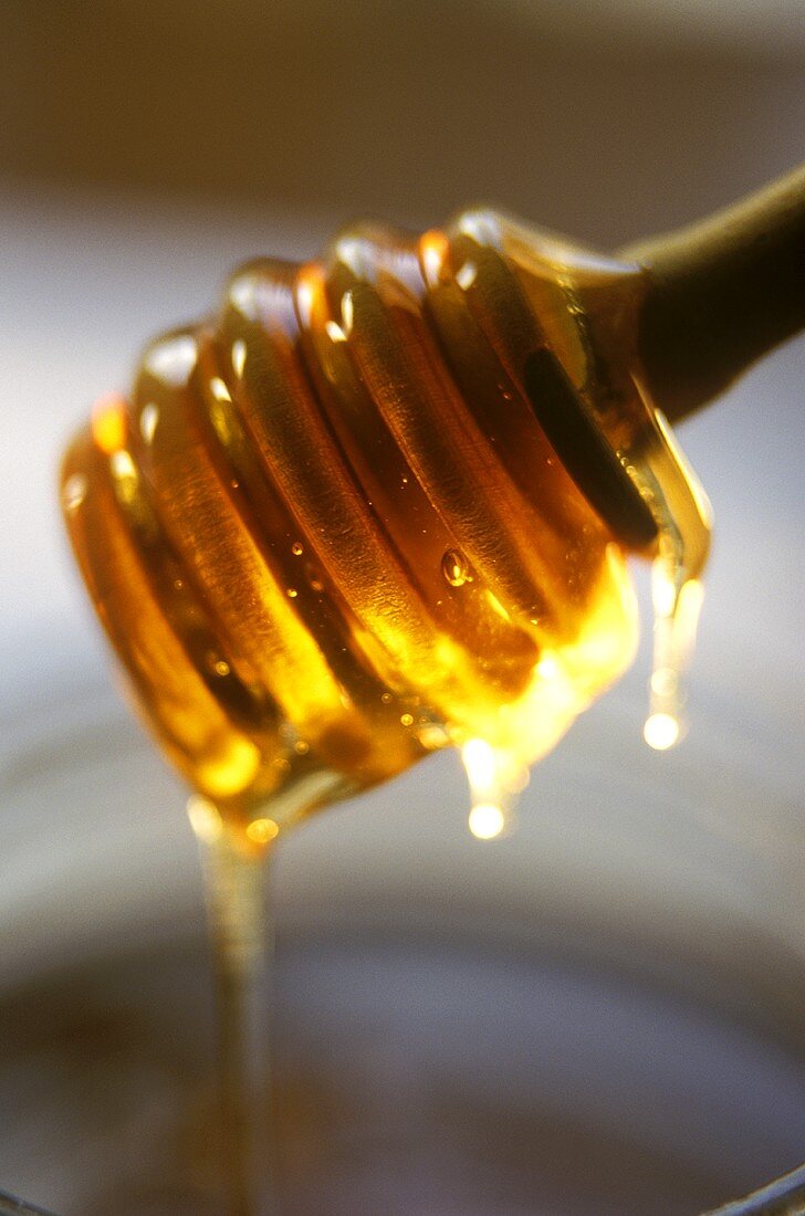 Honey dripping from honey spoon