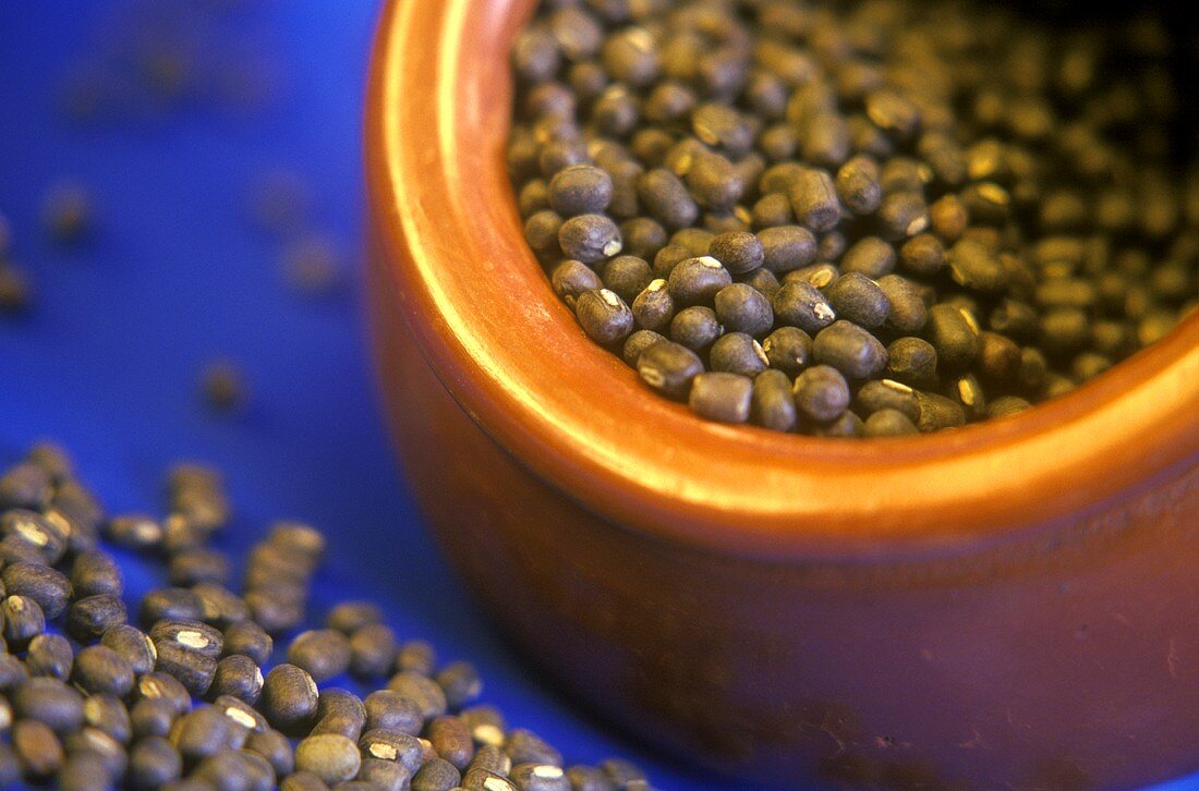 Black lentils (black gram; kali dal)