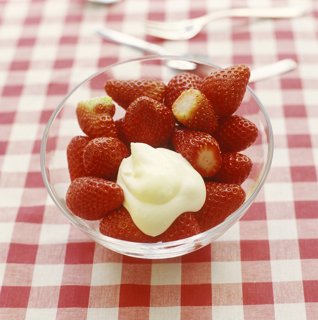 Frische Erdbeeren mit Vanille-Sahne-Creme
