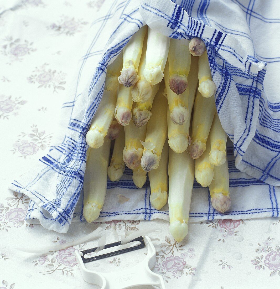 Peeled white asparagus wrapped in kitchen towel
