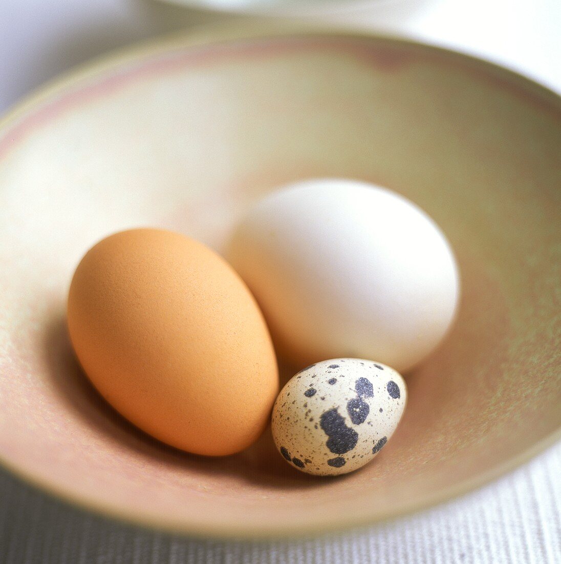 Quail's egg with brown and white hen's egg in a dish