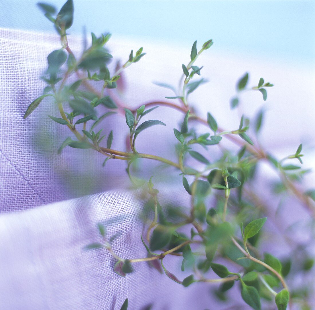 Sprig of thyme on linen cloth